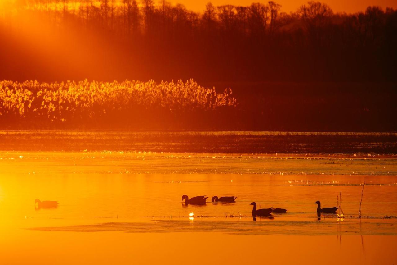Domek W Otulinie Biebrzy Гоньондз Екстер'єр фото