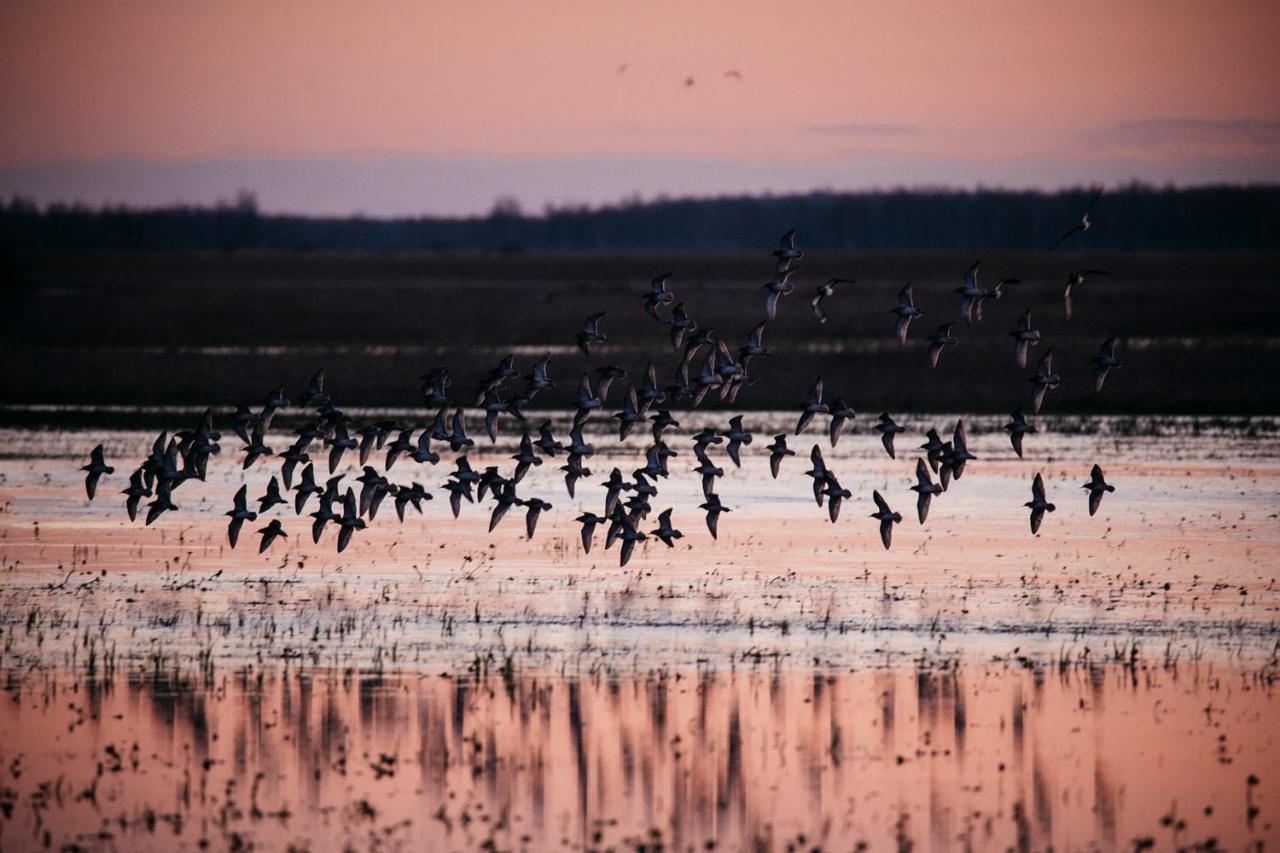 Domek W Otulinie Biebrzy Гоньондз Екстер'єр фото