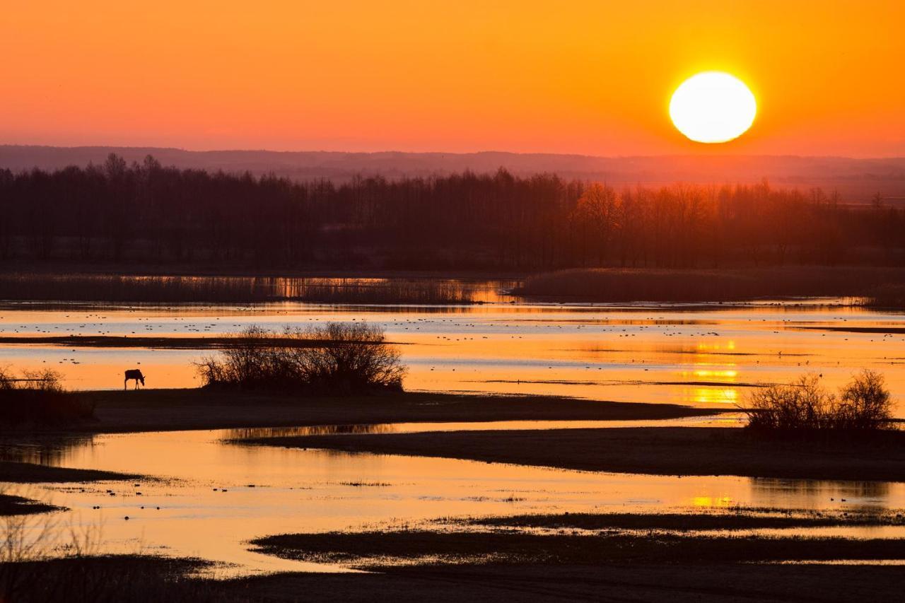 Domek W Otulinie Biebrzy Гоньондз Екстер'єр фото